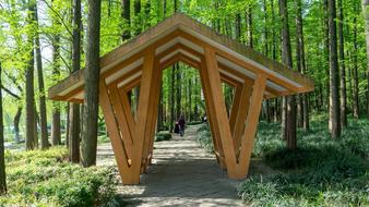tree house park