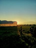 Greenhouse Sky Landscapes