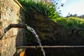 Outdoors Nature Tree