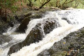 Waterfall Water Cascade