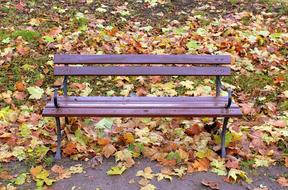 Park Autumn Bench