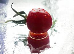 cherry tomato with water drops