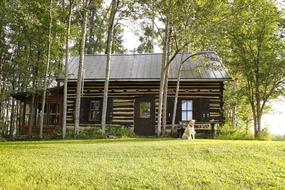 Log Cabin Woods Lawn