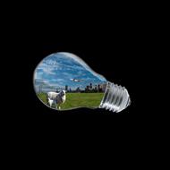 nature planet earth in light bulb in black background