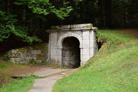 Portal Grass Landscape