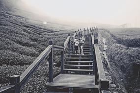 Tourism Outdoor monochrome photo