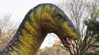 Nature Animal Wildlife