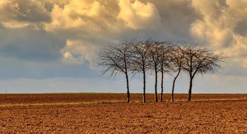 Nature Panorama Landscape