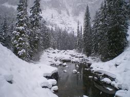 Snow Winter Cold