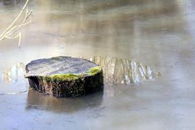 Wood Water Ice