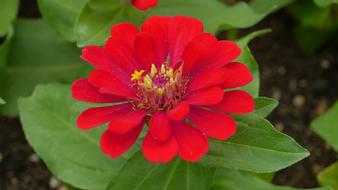 This Type Abstract Landscape