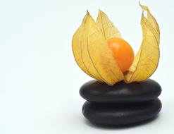 healthy tasty fruit