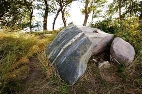 stones earth grass