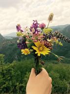 Nature Summer Flora