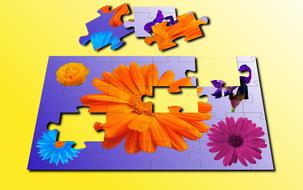 puzzles, flowers on a purple background