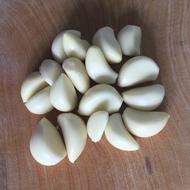 cloves of fragrant garlic on the table