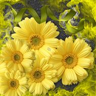 bouquet of yellow plants