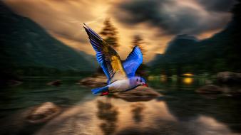 Body Of Water Nature Outdoor