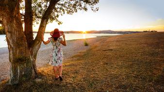 Sunset Landscape Field