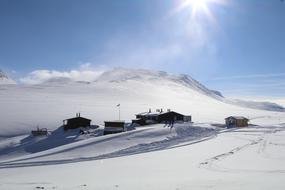 Snow Winter Cold