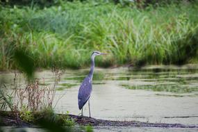 Waters Nature Lake