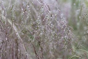 Water Drops Structure