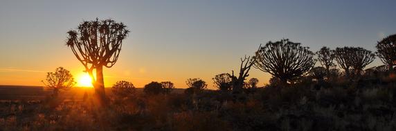 Sunset Dawn Nature