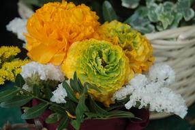 Flower Plant Nature