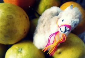 alpaca toy in fruit