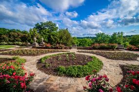 Nature Travel Flower