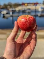 juicy apple in hand