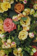 Rose Bouquet Flower