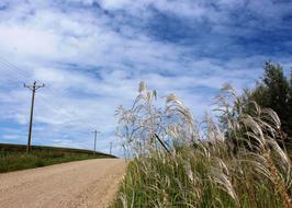 Nature Grass Sky