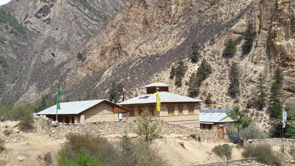 Nature House Mountain