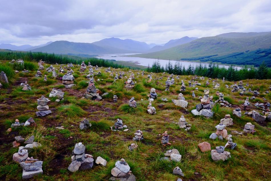 stone landscape with grass and stones