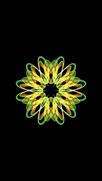 desktop flower nature color flora