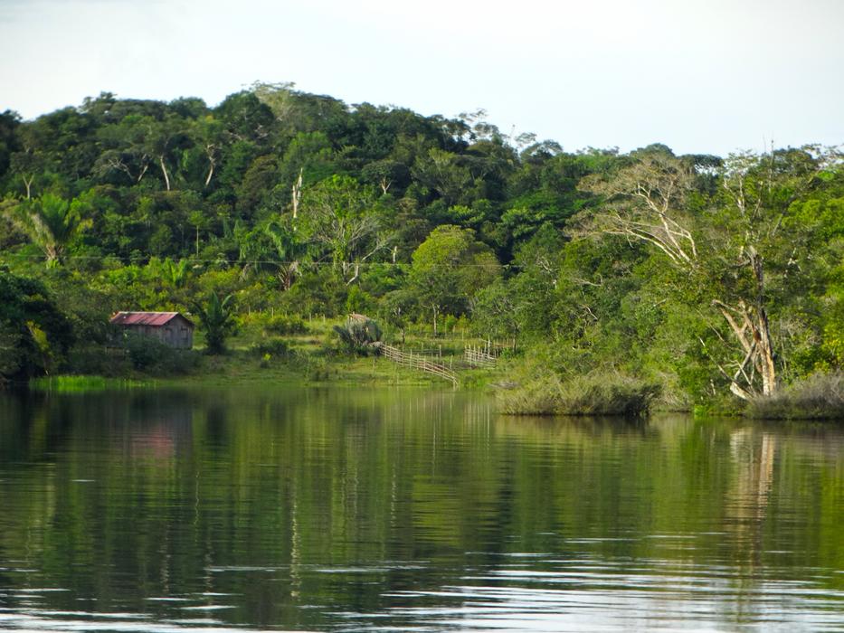 Body Of Water Nature Tree