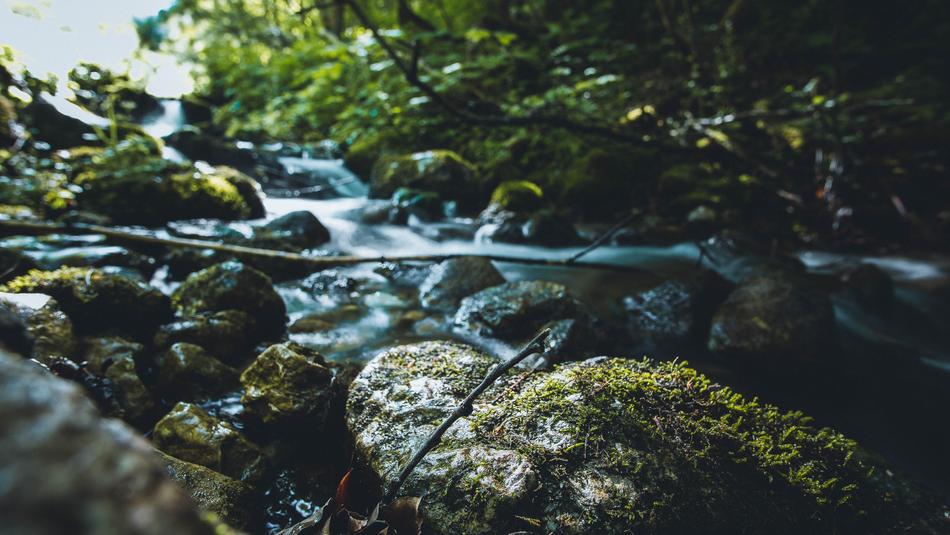 Water Nature River