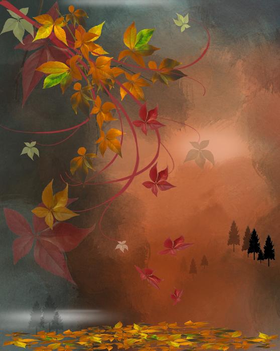 seasons november autumn season