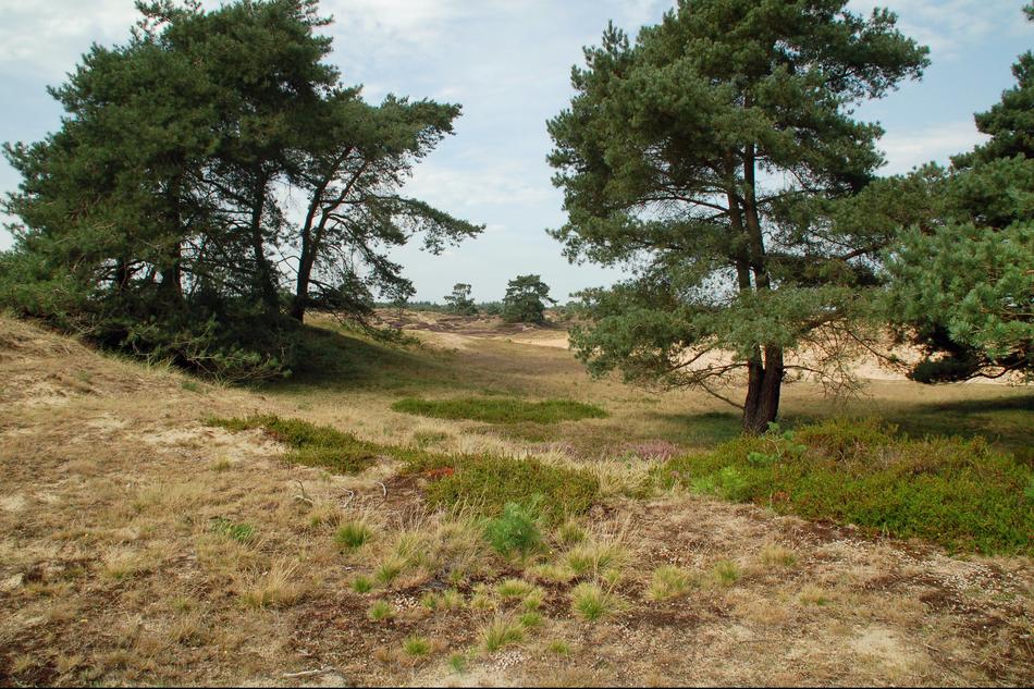 Nature Landscape Outdoor