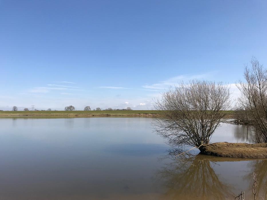 Floodplain Nature River