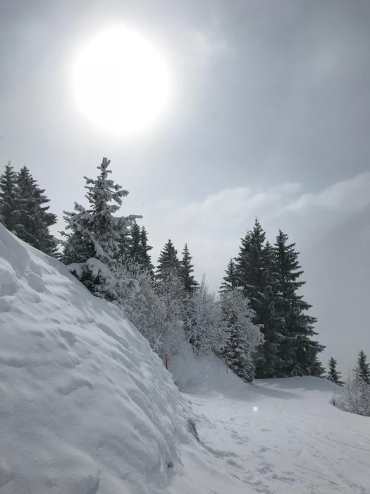 Winter Hiking Trail Wintry