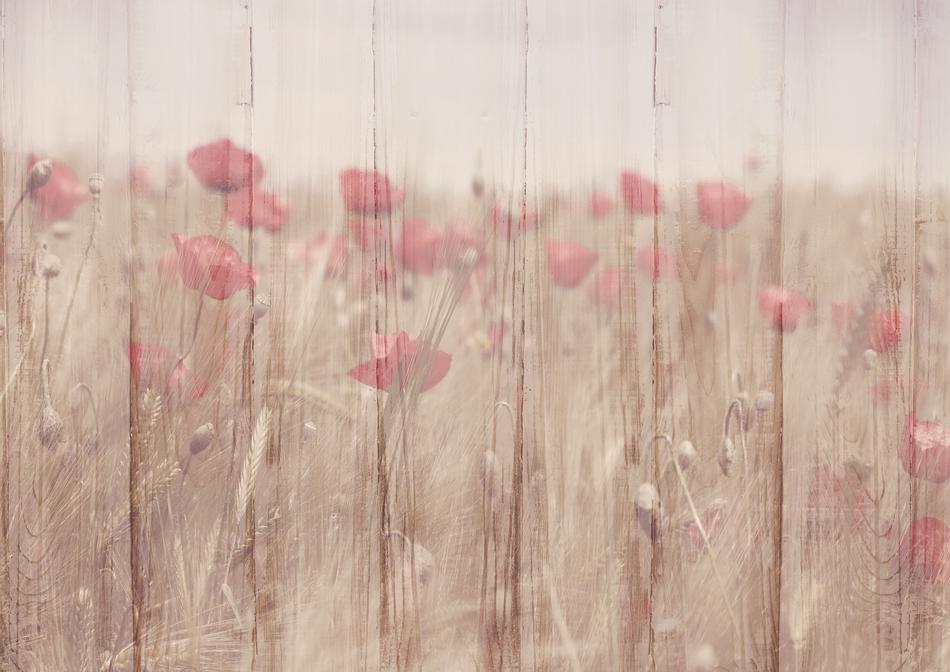 Background Image Flowers