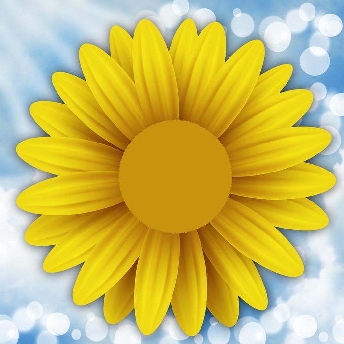 yellow flower is beautiful in the blue sky