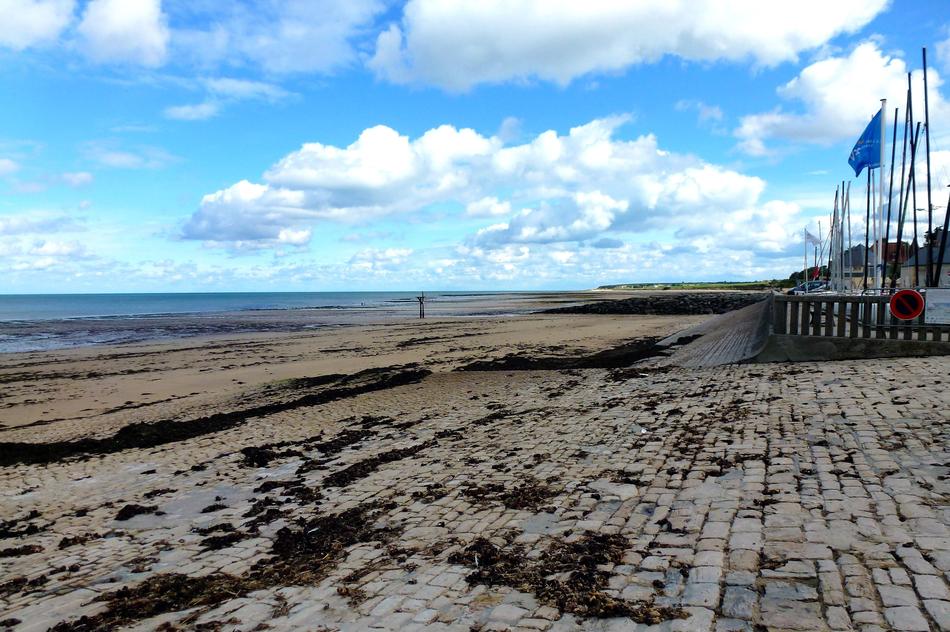 Nature France Normandy Body Of