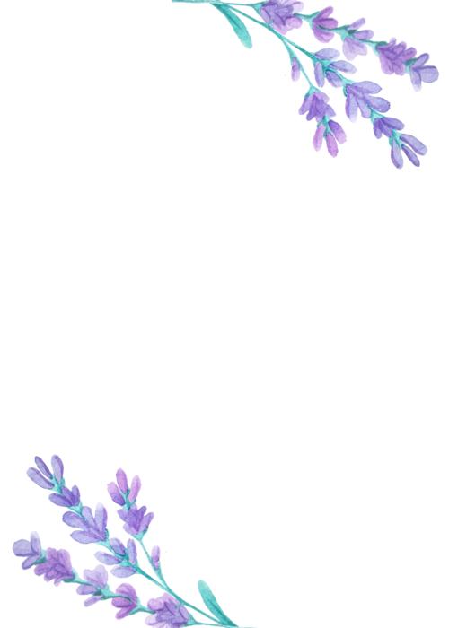 blue flowers nature