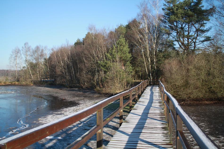 Waters Nature Wood