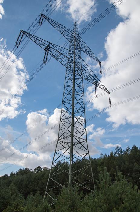 electric pylons among green trees on a sunny day