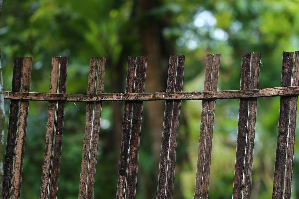 Fence Outdoors Wood