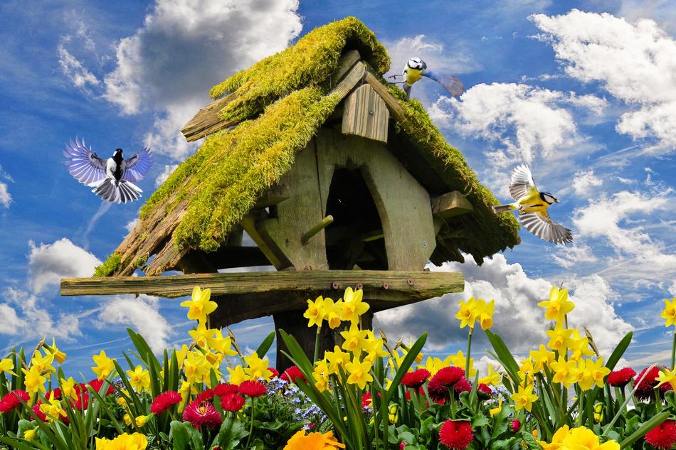 straw house with flowers